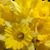 Deidra Miller's profile image