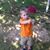 Renee Brito Orr's profile image