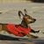 Judy Rothenberger's profile image