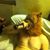 Raymond Sanchez's profile image