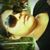 Macia Silva's profile image