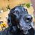 Sharon Lucas's profile image