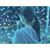 林玟's profile image
