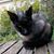 Don Rockey's profile image