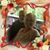 Janet Sanders Garriott's profile image