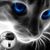 Dianna Kendall's profile image
