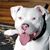 Zachary Plush's profile image