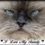 Sue Hawkins's profile image