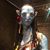 Rissa Bell's profile image