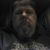 Shawn Rigney's profile image