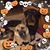 Heidi Sue Schreiber-Mahoney's profile image