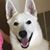 Mickie Proulx's profile image