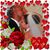 Marieli Castro Holmes's profile image