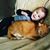 Tiphanie Sanborn's profile image