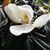Joan McCrosson Schaper's profile image