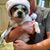Shawn Rupe's profile image