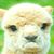 Jordan Postle's profile image