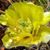 Linda Pless's profile image