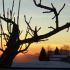 betina h.'s profile image