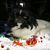 Davina Brewer's profile image