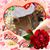 Jenny Rattin's profile image