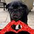Sarah Tannenbaum Unser's profile image