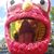 Steve Rife's profile image
