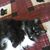 Marcie Eckelberry's profile image