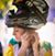 Mary Rinell's profile image