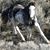 Wendy Tippetts's profile image