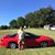 Tony Bailey's profile image