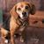 Kristine Berger Eisenhour's profile image