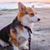 Amy Owens's profile image