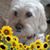 Jean M Allen's profile image