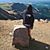 Tiffany Marie's profile image