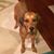 Dianne Walters Trapuzzano's profile image