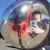 Francesca Coenen-Winer's profile image