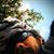 Jompiyan Adv's profile image