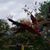 Jim Fiedler's profile image