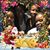 Dee Mitchell McLucas's profile image