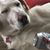 Dan Dimond's profile image