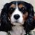 Janet Arndt's profile image