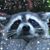 Lue-Anna Searles's profile image