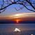 Susan Scott Ricci's profile image
