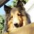 Rachael Holicky's profile image