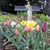 Pam Forillo Kunke's profile image