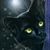 Nils Donnell's profile image