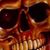 Rustene Olson's profile image