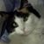 Mary Lavoie's profile image
