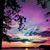 JoAnne Goodhue Whitworth's profile image